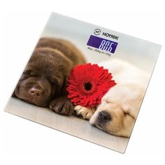 Весы напольные HOTTEK 962-016