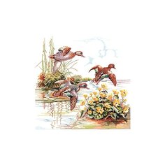 Набор для вышивания Дикие утки, лён 26 ct EVA Rosenstand