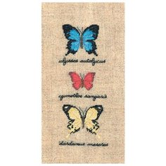 Набор для вышивания: PAPILLONS : ULYSSES AUTOLYCUS, CYMOTHOE SANGARIS, DARDANUS (Бабочки ULYSSES Le Bonheur des Dames, 12,5*5 3627