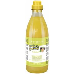 Шампунь Iv San Bernard Fruit of the Groomer Maracuja с протеинами для кошек и собак с длинной шерстью 1 л