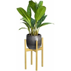 Подставка для комнатных растений Oxalis 40 Greenween