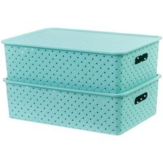 Набор 2-х корзинок с крышками 7,5 л EL Casa Береста шалфей