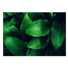 Картина на холсте 57x40 см "Зеленые листья", ПринтДекор, PR-PH-213 Ekoramka