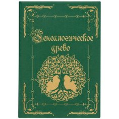 Папка "Генеалогическое древо", формат А4, 60 листов, твердый переплет, вкладыш А2, лента, ГДР-6 Foliant