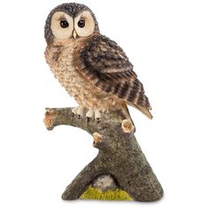 WS-711 Статуэтка Сова Veronese