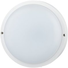 Светодиодный светильник Philips WT045C LED20/NW PSU CFW L1654, D: 20 см