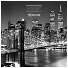 Весы электронные HOMESTAR HS-6001E