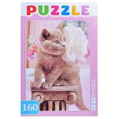 Пазл Рыжий кот Artpuzzle Британский котенок (ПА-4571), 160 дет.