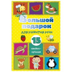 Малыш Большой подарок для развития речи. 15 книжек-кубиков