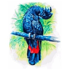 Белоснежка Картина по номерам "Синий попугай", 30*40 см (362-AS)