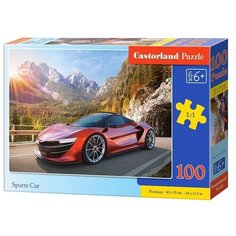 Пазлы "Спорткар" 100 дет. Castorland