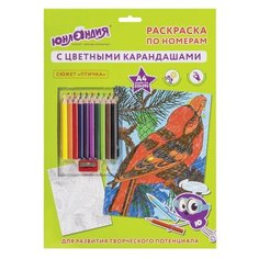 Раскраска по номерам А4, ЮНЛАНДИЯ "ПТИЧКА", С ЦВЕТНЫМИ КАРАНДАШАМИ, на картоне, 661607
