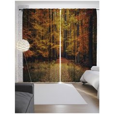 Портьеры JoyArty Дорога в лесную гущу на ленте 265 см (p-15757)