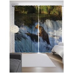 Портьеры JoyArty Медведь на рыбалке на ленте 265 см (p-13899)