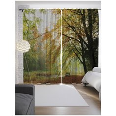 Портьеры JoyArty Осенние переговоры на ленте 265 см (p-17638)