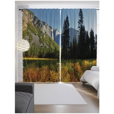 Портьеры JoyArty Ели возле гор на ленте 265 см (p-19034)