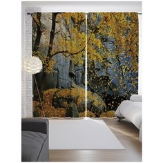 Портьеры JoyArty Осенний ветерок на ленте 265 см (p-16591)