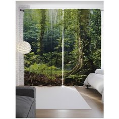 Портьеры JoyArty В тропиках снова весна на ленте 265 см (p-16275)