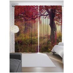 Портьеры JoyArty Туманные поиски на ленте 265 см (p-9349)