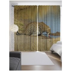 Портьеры JoyArty Леопард у водоема на ленте 265 см (p-16490)