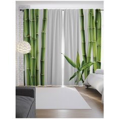 Портьеры JoyArty Бамбуковая фантазия на ленте 265 см (p-12187)