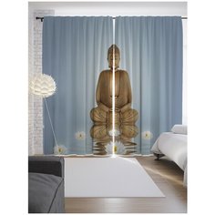 Портьеры JoyArty Зона спокойствия на ленте 265 см (p-14861)