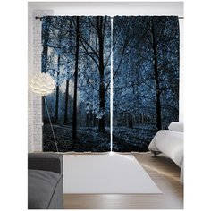 Портьеры JoyArty Интересный ночной лес на ленте 265 см (p-16439)