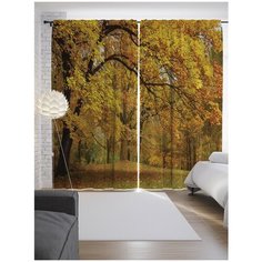 Портьеры JoyArty Желтеющий лес на ленте 265 см (p-15747)