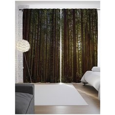 Портьеры JoyArty Лесная сказка на ленте 265 см (p-8944)