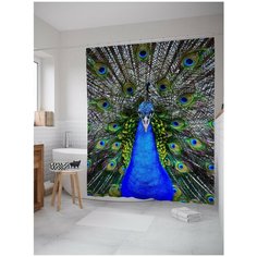 Штора для ванной JoyArty Внимание павлина 180х200 (sc-9043)