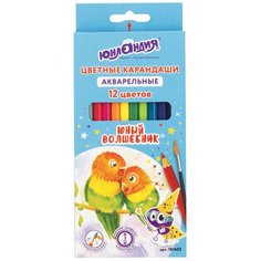 Юнландия Карандаши цветные акварельные Юный волшебник 12 цветов (181402)