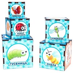 Пирамидка-сортер Woodland Живой мир 098111