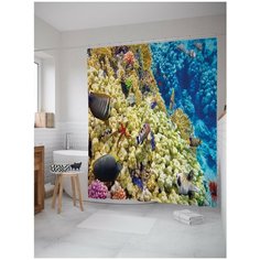 Штора для ванной JoyArty Коралловые рифы 180х200 (sc-14606)