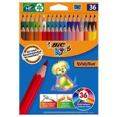 BIC Цветные карандаши Evolution, 36 цветов (950526) голубой