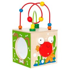 Развивающая игрушка Hape E1802