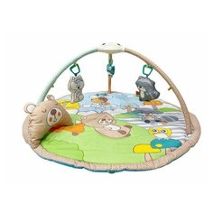 Развивающий коврик everflo Fun Trail (HS0417897)