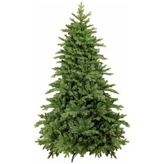 Царь елка Ель Абсолют, 155 см