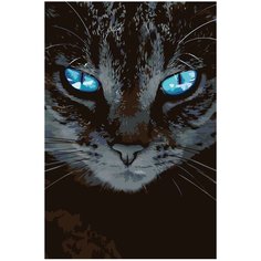 Чарующий взгляд Раскраска по номерам на холсте Живопись по номерам A452 40х60