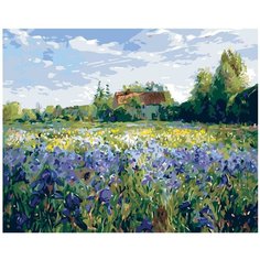 Поле ирисов Раскраска по номерам на холсте Живопись по номерам KTMK-38539 40х50