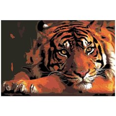 Тигр в уединении Раскраска по номерам на холсте Живопись по номерам Z1795 40х60