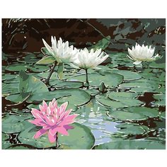 Озеро с лотосами Раскраска картина по номерам на холсте KTMK-36303 40х50