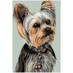 Йорк умница Раскраска по номерам на холсте Живопись по номерам A370 40х60