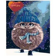 Влюбленный совенок Раскраска картина по номерам на холсте KTMK-76985 40х50