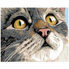 Удивление Раскраска картина по номерам на холсте A106 40х50