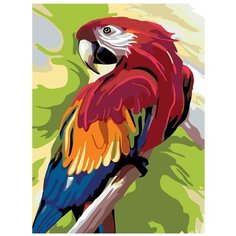 Говорящий попугай Раскраска по номерам на холсте Живопись по номерам A353 30х40