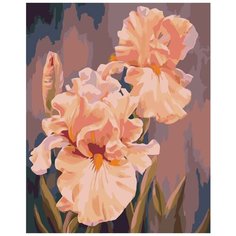 Розовые ирисы Раскраска по номерам на холсте Живопись по номерам KTMK-26741 40х50