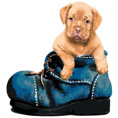 В ботинке Раскраска по номерам на холсте Живопись по номерам A423 40х50