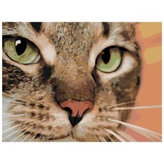 Хищный кот Раскраска по номерам на холсте Живопись по номерам Z-Z3579 30х40