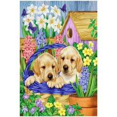 Картина по номерам Molly 20х30 см Щенки лабрадора