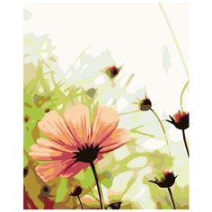 Нежность цветка Раскраска картина по номерам на холсте KTMK-69536 40х50